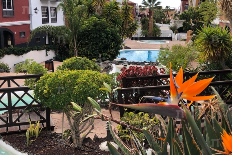 Fotos del complejo 'Jardin Botánico'